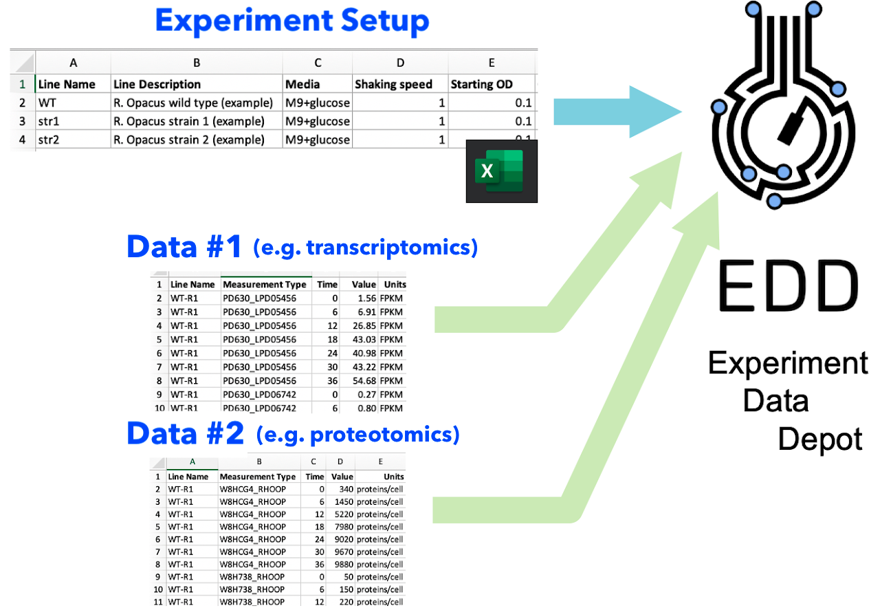 Graphic showing spreadsheets with arrows pointing toward EDD logo