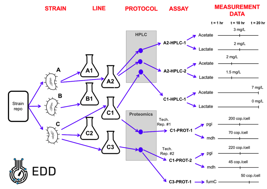 Illustration of the different levels of EDD ontology